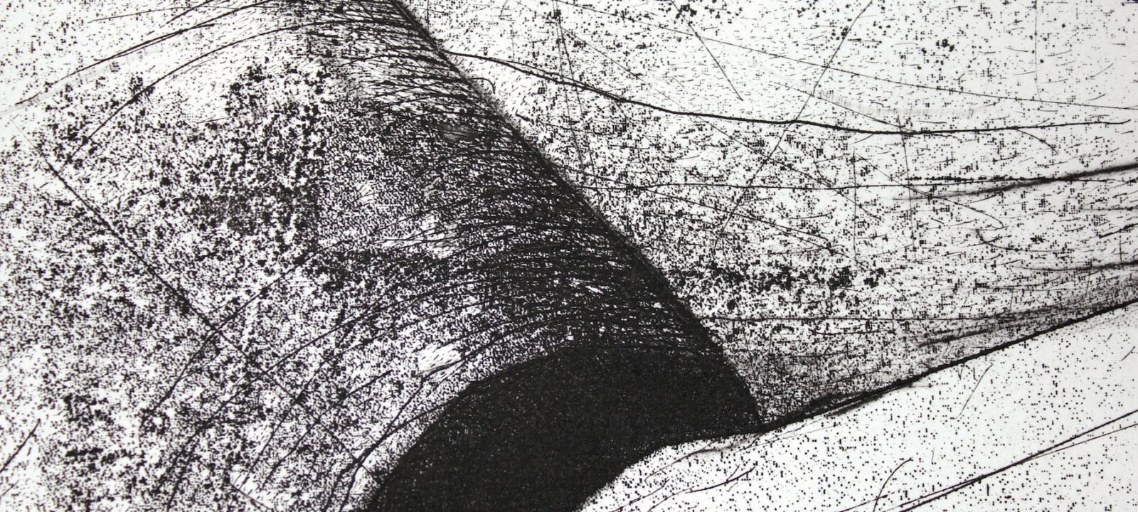 DETAL 2 Kamil Kocurek Dummy 1 wkleslodruk 140x100cm 2020(1)